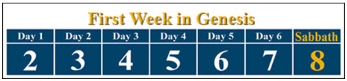 calendar-genesis-week1