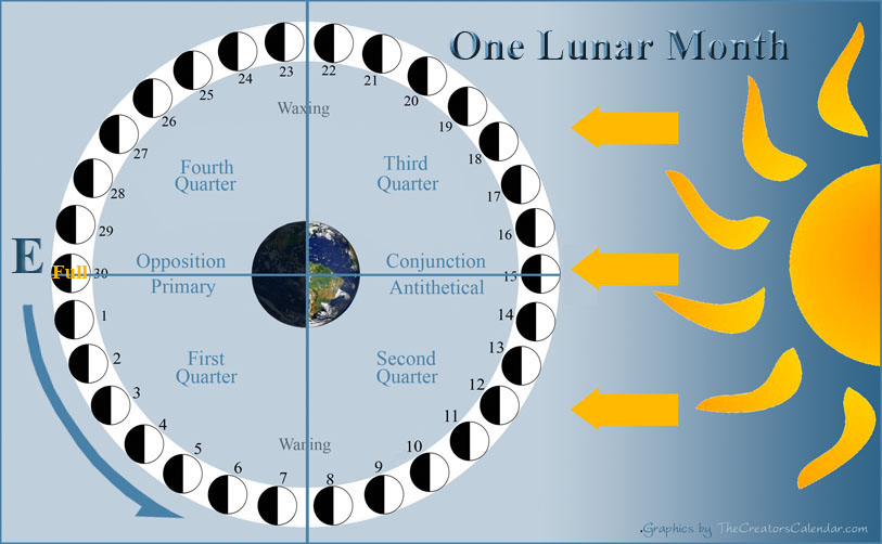 chart-lunation