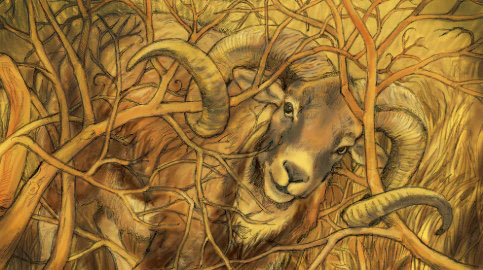 Abraham's Prophetic Appointment