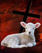 small-lamb-perfect-cross