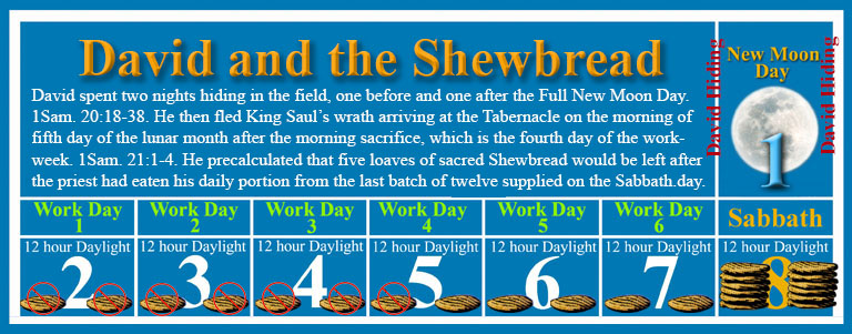 Did David Eat the Shewbread
on the Sabbath Day?