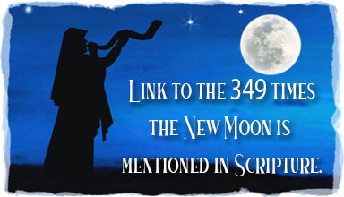 New Moons occur 349 times in scripture