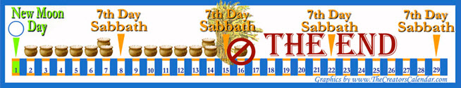 Scriptures You Must Ignore to Reject the Lunar Sabbath