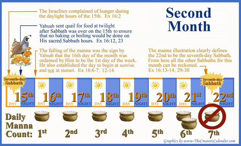 Scriptures You Must Ignore to Reject the Lunar Sabbath