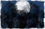 New Moon by New Moon You Shall Keep - Isaiah 66:22-23New Moon